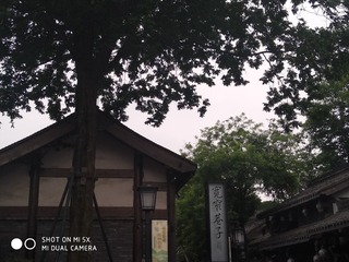 277538