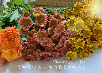 AD5B8A6B-67B2-4EFD-A95A-F355B8000D99/L0/001