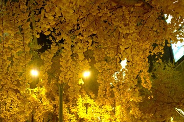 6E393B01-BEB6-4DCD-B633-51501E8B1C14/L0/001