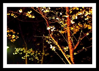 EEFFAE13-040D-4AE4-86A2-772050FFA07F/L0/001