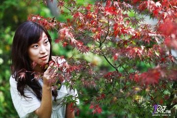 红枫醉秋