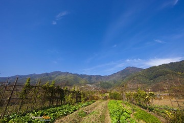 山脚，农民们的菜地。快到秋天收获果实的时候了吧。