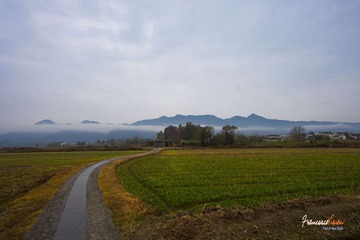 一望无尽的南屏田中小路