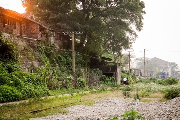 DSC_1460-2
