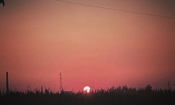 81C89C74-494F-48C1-B708-3A860D32ECE1/L0/001
