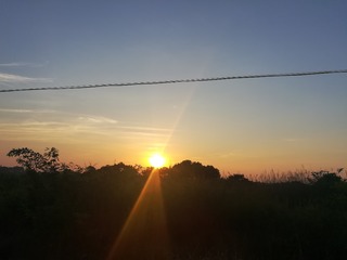 725
