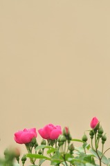 28189