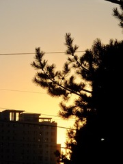 CA059536-43B6-4772-8CB2-259F2C3CE733/L0/001