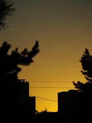 5D9882B5-B1DB-4B4F-ADFA-248984E97B51/L0/001