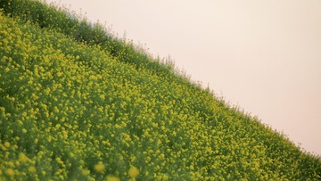 5736873F-B9DD-48DD-87E3-A79F9322D73F/L0/001