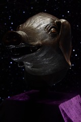 106219