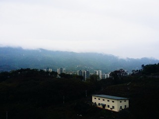 13F52EB4-2E35-41EA-941F-4E06763E5391/L0/001