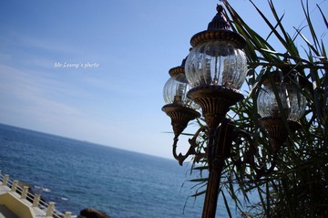 LYM_0591.JPG