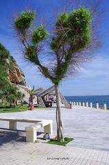LYM_0573.JPG