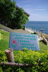 LYM_0586.JPG