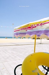 LYM_0456.jpg