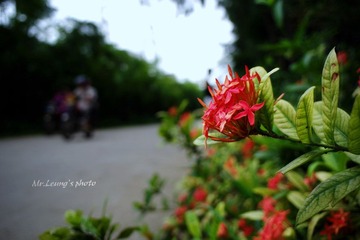 LYM_0742.JPG