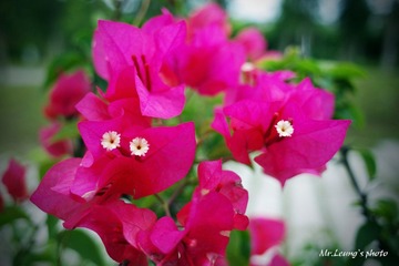 LYM_0754.JPG