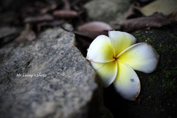 LYM_0870.JPG