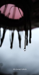 LYM_0909.jpg