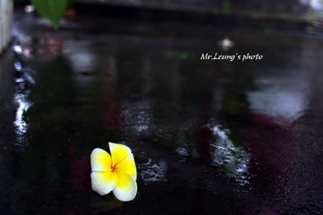 LYM_0929.JPG