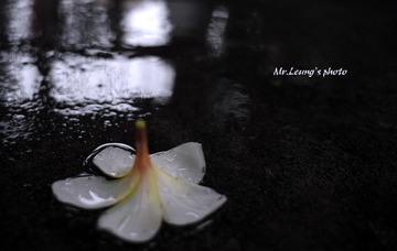 LYM_0931.JPG