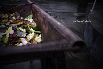 LYM_0940.JPG