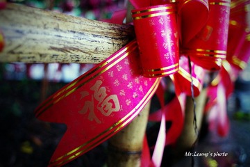 LYM_0949.JPG