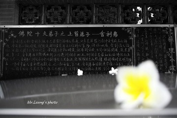 LYM_0955.JPG