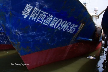 LYM_1493.JPG