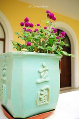 LYM_1555.JPG