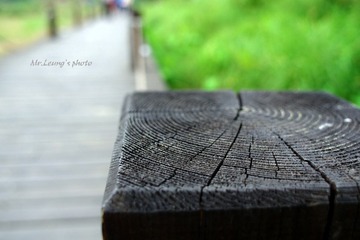 LYM_1661.JPG