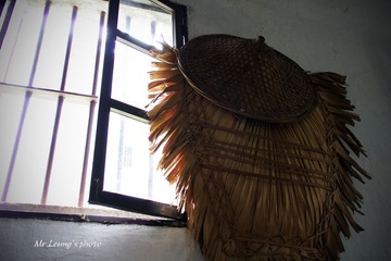 LYM_1674.JPG