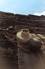 LYM_2129.jpg