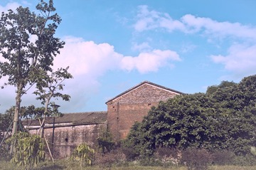 LYM_2298.jpg