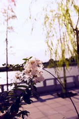 LYM_2302.jpg