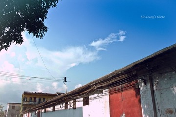 LYM_2325.jpg