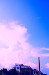 LYM_2331.jpg