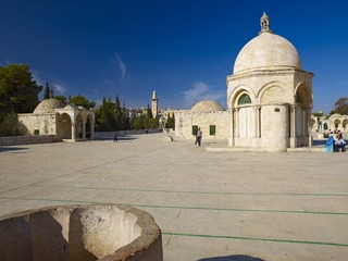 LYM_3111.JPG