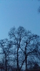 8C6037D0-8B87-4428-9F0B-F31F143949B8/L0/001
