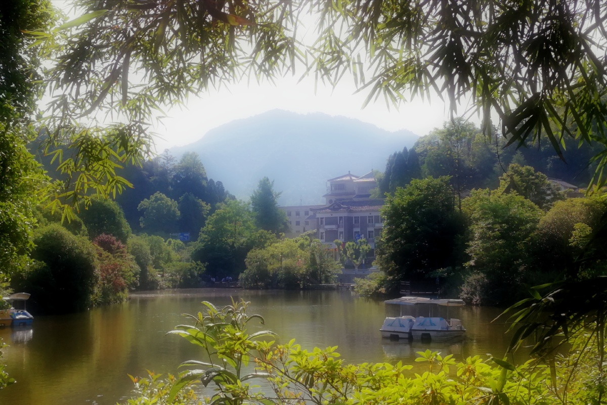 竹外风光井冈山公园一隅