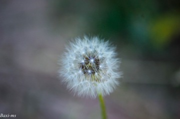 1000015157
