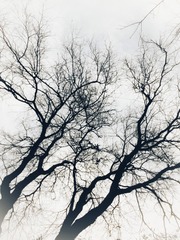 F4D70268-65DF-4C37-AF22-245D41817628/L0/001