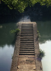 1000079214