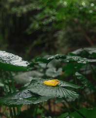 1000081624