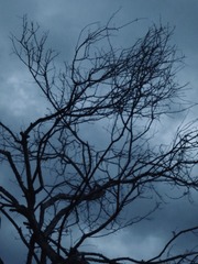 D00E16E1-DBBE-43B1-B05F-0389C855DEA6/L0/001