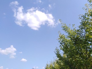 1206741