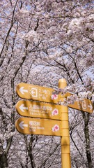 7121B22C-63BD-4FA4-A84F-ED80C8D5ACE3/L0/001