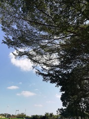 140051