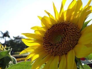 DSC00802.JPG